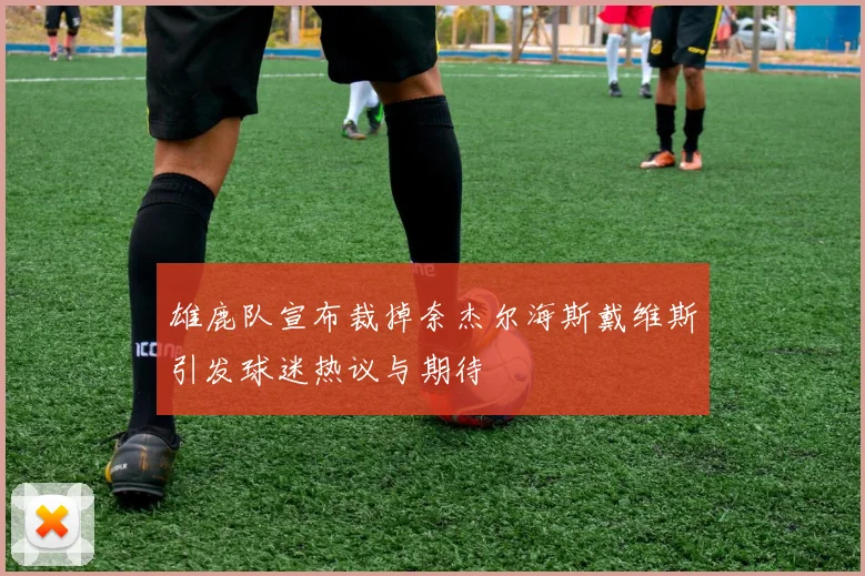 雄鹿队宣布裁掉奈杰尔海斯戴维斯引发球迷热议与期待