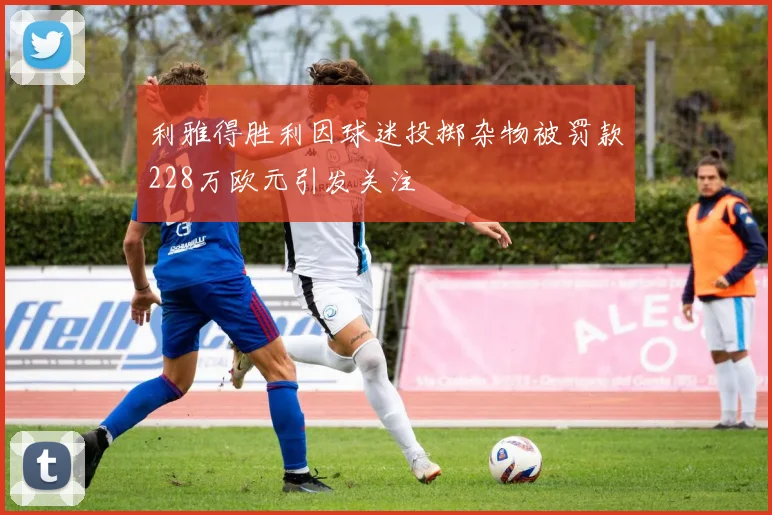 利雅得胜利因球迷投掷杂物被罚款228万欧元引发关注